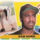 Sam Horn