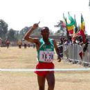 Addis Abebe