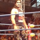 Mexican male professional wrestlers