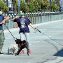 Juliette Lewis walks her dogs in Venice during Quarantine