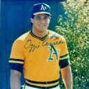 Ozzie Canseco