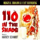 110 in the Shade Original 1963 Broadway Cast Starring Robert Horton