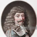 Henri, Count of Harcourt