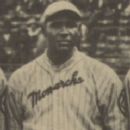 Oscar Johnson (baseball)