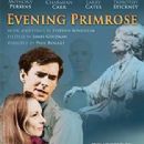 Evening Primrose Starring Anthony Perkins- Music By Stephen Sondheim