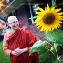 American Buddhist spiritual teachers