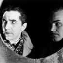 The Black Cat - Bela Lugosi