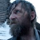 Paul Anderson as Anderson in The Revenant (2015 film)