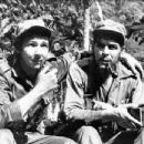 Raul Castro and Ernesto 'Che' Guevara