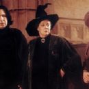 Harry Potter and the Sorcerer's Stone - Maggie Smith