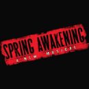 Spring Awakening  --  Original 2006 Broadway Musical Starring Jonathan Groff