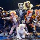Characters in Cats (musical)