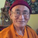Karma Thinley Rinpoche