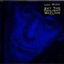 Albums produced by Lou Reed