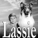 Jon Provost & Lassie