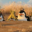 (Left to right) Penguins Kowalski (CHRIS MILLER), Rico, the Skipper (TOM McGRATH) and Private (CHRISTOPHER KNIGHTS) prepare to launch “Operation: Tourist Trap” in DreamWorks’ “Madagascar: Escape 2 Africa.” Photo credit: Madag