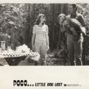 Poco... Little Dog Lost - Sherry Bain, John Steadman, Muffin