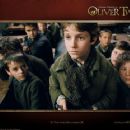 Oliver Twist wallpaper - 2005