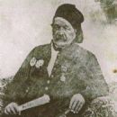 Soliman Pasha (al-Faransawi)