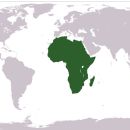 African diaspora in Guyana