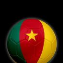Cameroonian football biography stubs