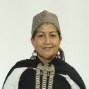 Mapuche linguists