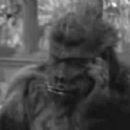 Bela Lugosi Meets a Brooklyn Gorilla - Ray Corrigan