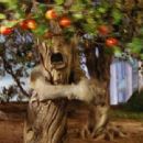Titles: The Wizard of Oz People: Candy Candido Character: Angry Apple Tree