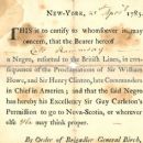 African-American documents