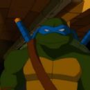 Teenage Mutant Ninja Turtles - Michael Sinterniklaas