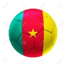 Cameroonian footballers