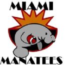 Sports clubs and teams in Miami