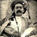 Kurdish people from the Ottoman Empire