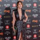Antonia San Juan- Goya Cinema Awards 2018 - Red Carpet
