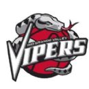 Rio Grande Valley Vipers players