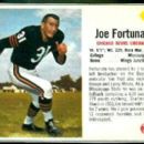 Joe Fortunato