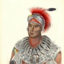 Wapello (chief)
