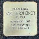 Karl Herxheimer