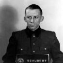 Heinz Schubert (SS officer)