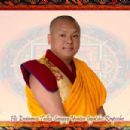 Tulku Sangay Yonten Gyatsho Rinpoche