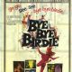 Bye Bye Birdie