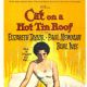 Cat on a Hot Tin Roof