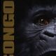 Congo