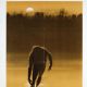 The Legend of Boggy Creek