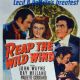 Reap the Wild Wind