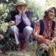 The Incredible String Band
