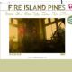 Fire Island