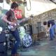 The Whigs
