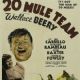 20 Mule Team