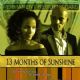 13 Months of Sunshine